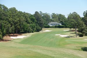 Palmetto 1st